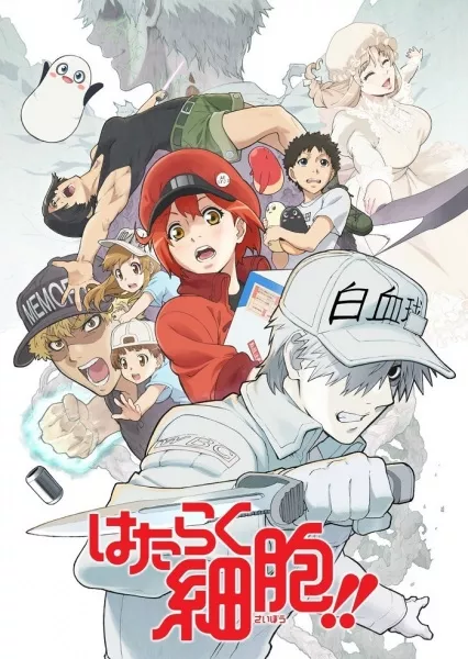 Hataraku Saibou!! - Anizm.TV